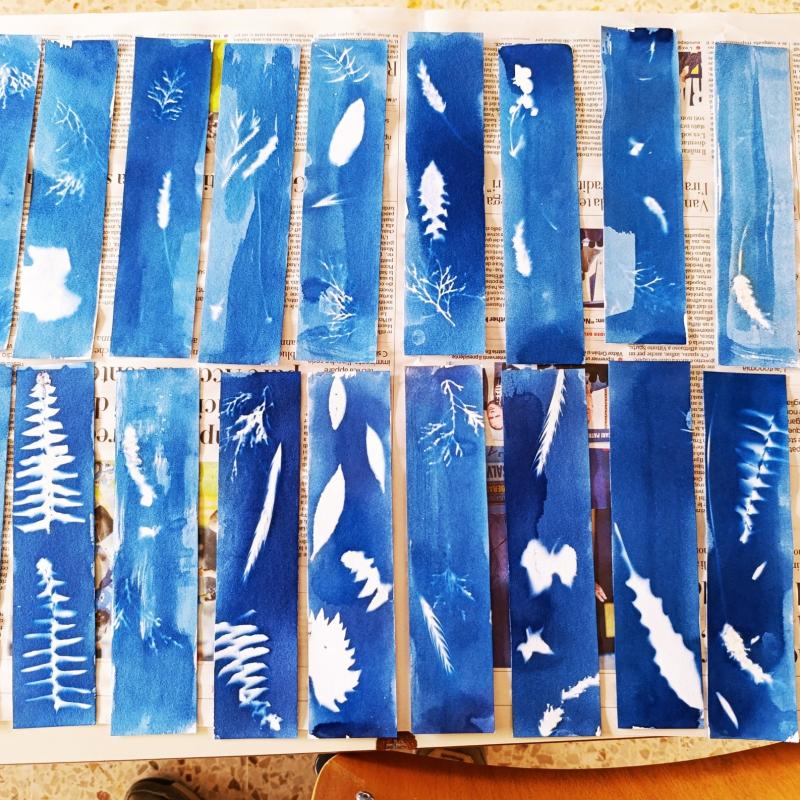 Giardino blu