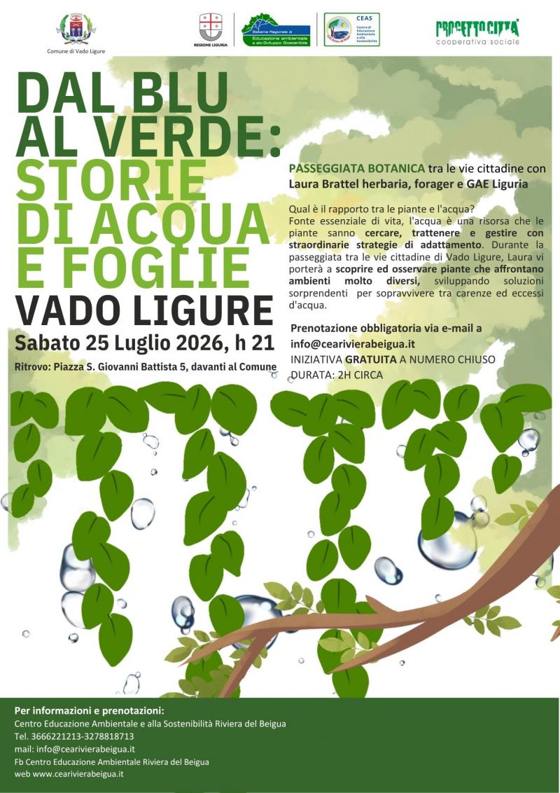 dal blu al verde